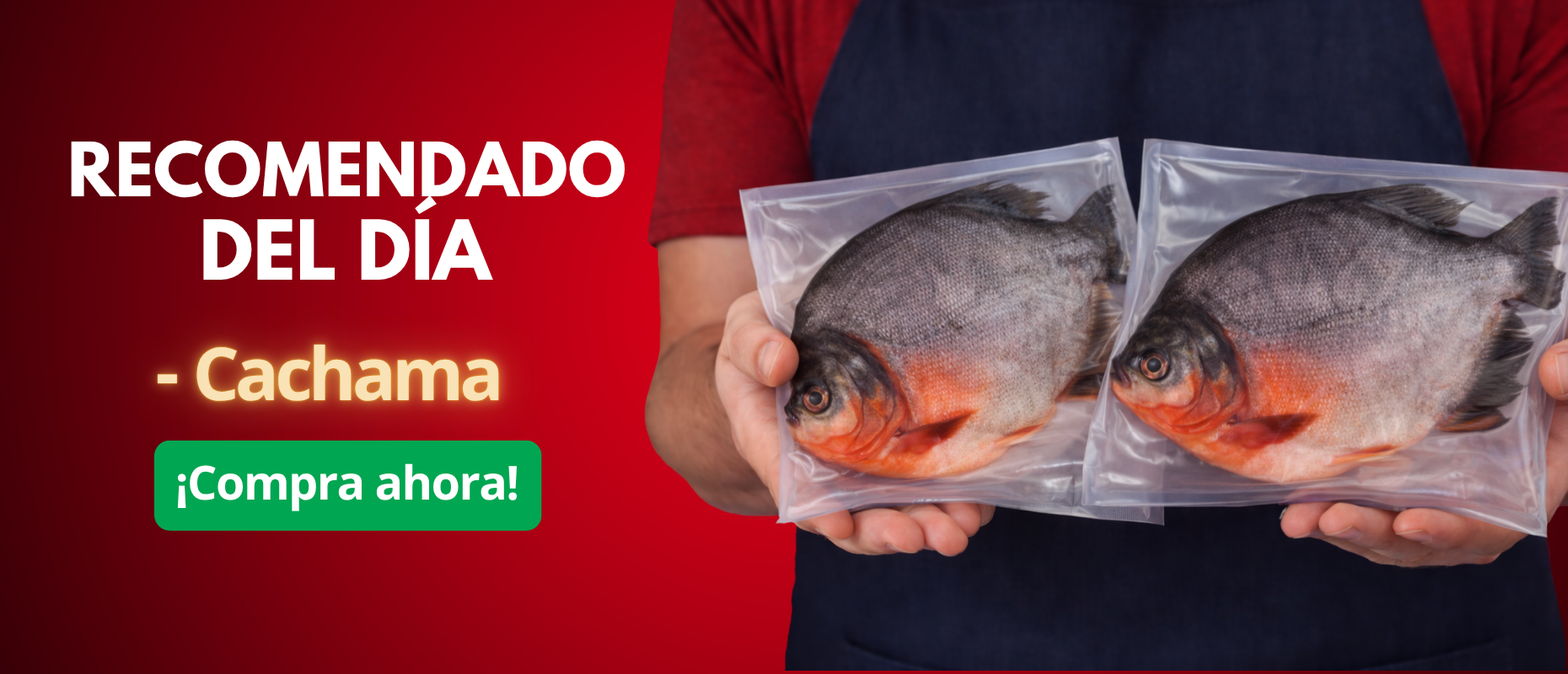 pollo2