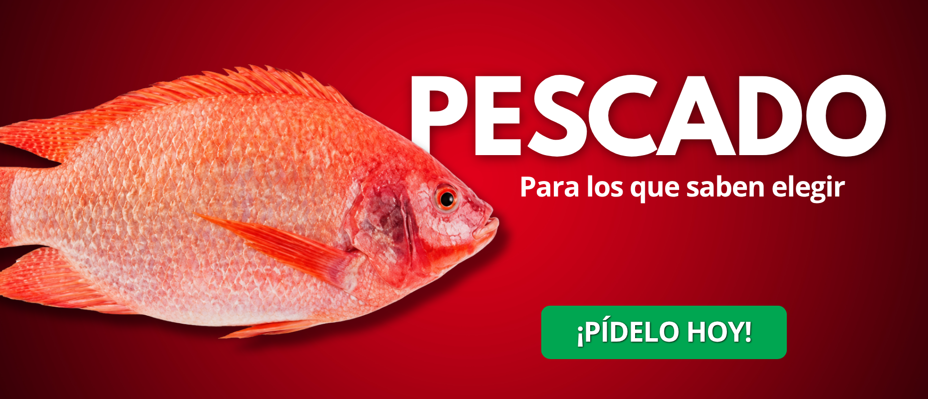 pollo