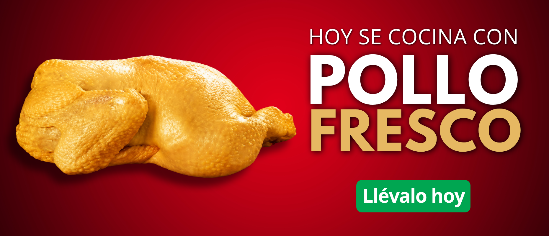 pollo