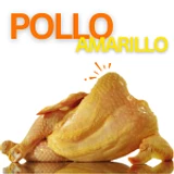 Pollo