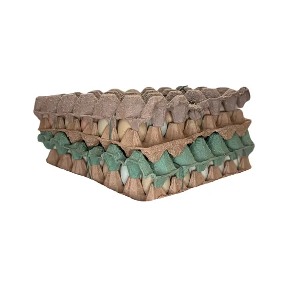 Cubeta De Huevos Campesino