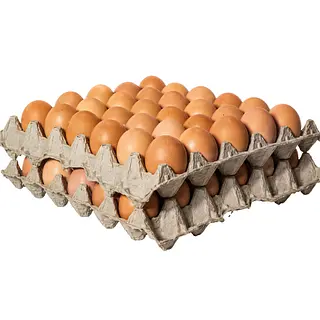 Cubetas De Huevos Aa