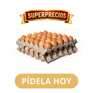 Cubetas De Huevos Aa